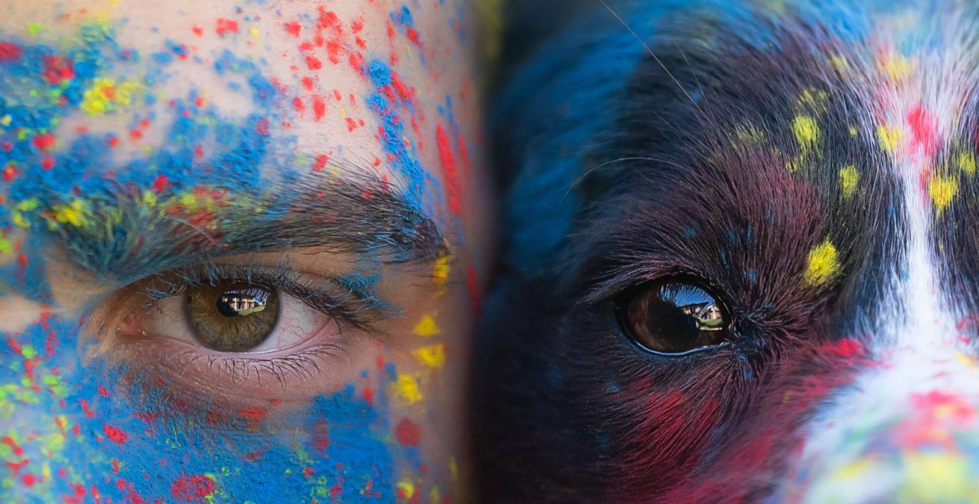 addestratorecinofilobologna_home_slide_02