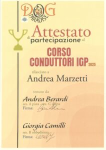 attestati andrea-immagini-0