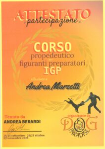 attestati andrea-immagini-1